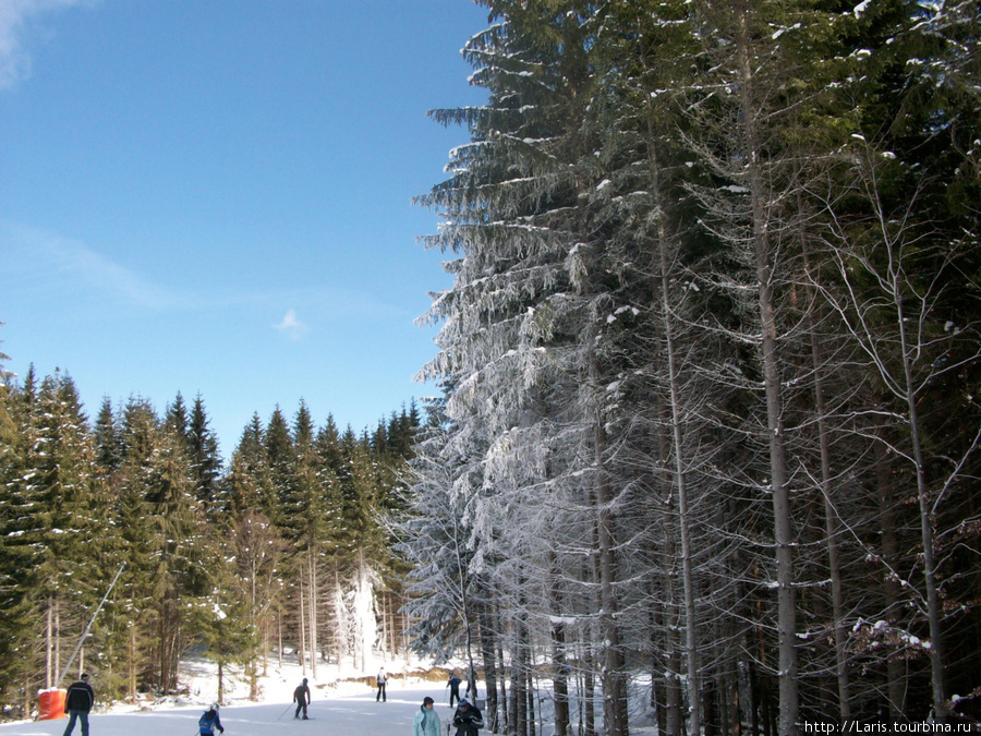 зимний отдых в Буковели Буковель, Украина