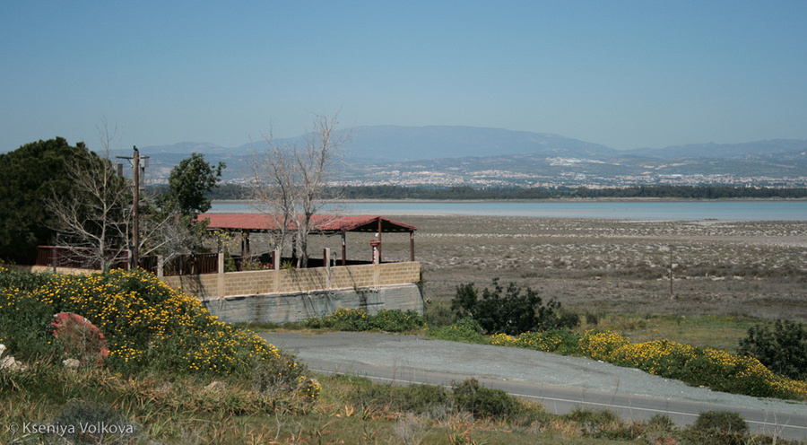 Соляное озеро Алики Район Лимассол, Кипр