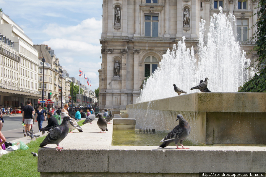 рядышком с Hotel de Ville de Paris (мэрия) голуби освежаются у фонтана Париж, Франция