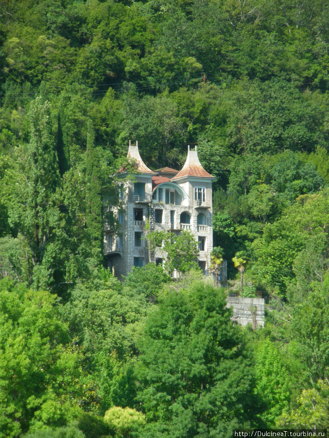 Абхазия образца июля 2010 года Абхазия
