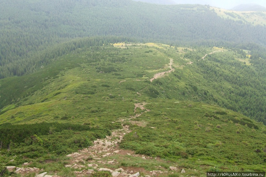2008 Июль - Говерла - высшая точка украинских Карпат Верховина, Украина