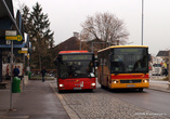 Автобусы