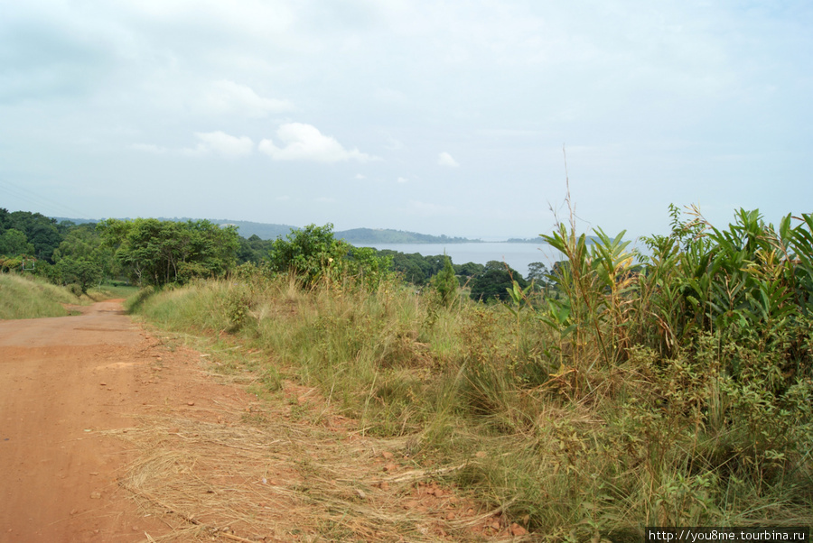 Калангала (А в глазах Африка - 33) Острова Сесе, Уганда