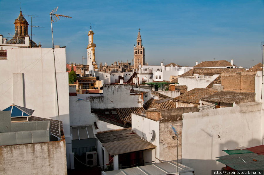 Вид с крыши Амадеуса (вдали видна крыша кафедрального собора и Хиральда). Севилья, Испания
