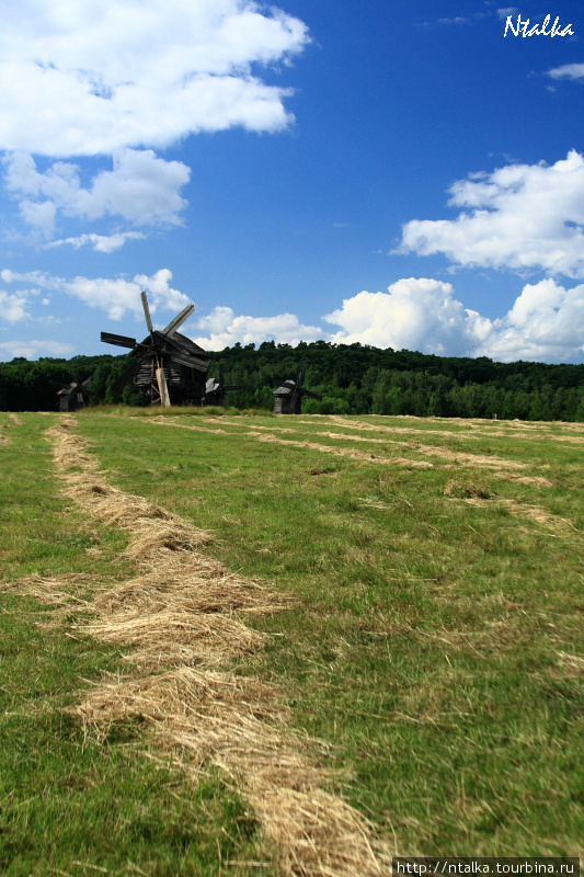 Пирогово Киев, Украина