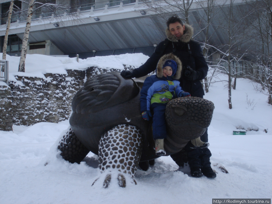 Заснеженная Юрмала в январе 2011-го Юрмала, Латвия