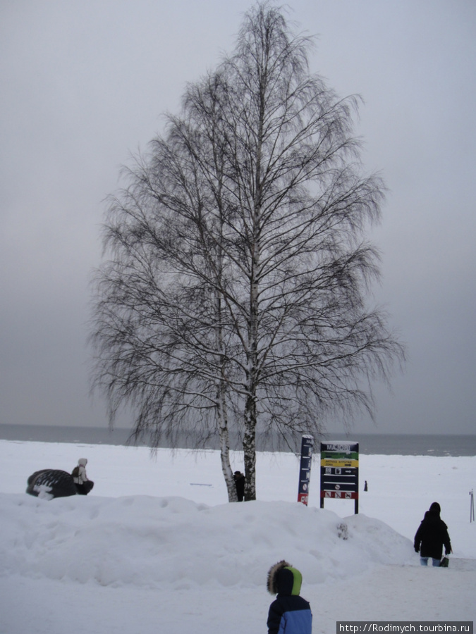 Заснеженная Юрмала в январе 2011-го Юрмала, Латвия