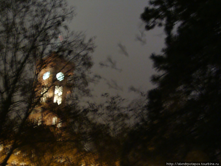 башня Ратуши (Rathhaus) и вороны, улетающие прочь с деревьев Берлин, Германия