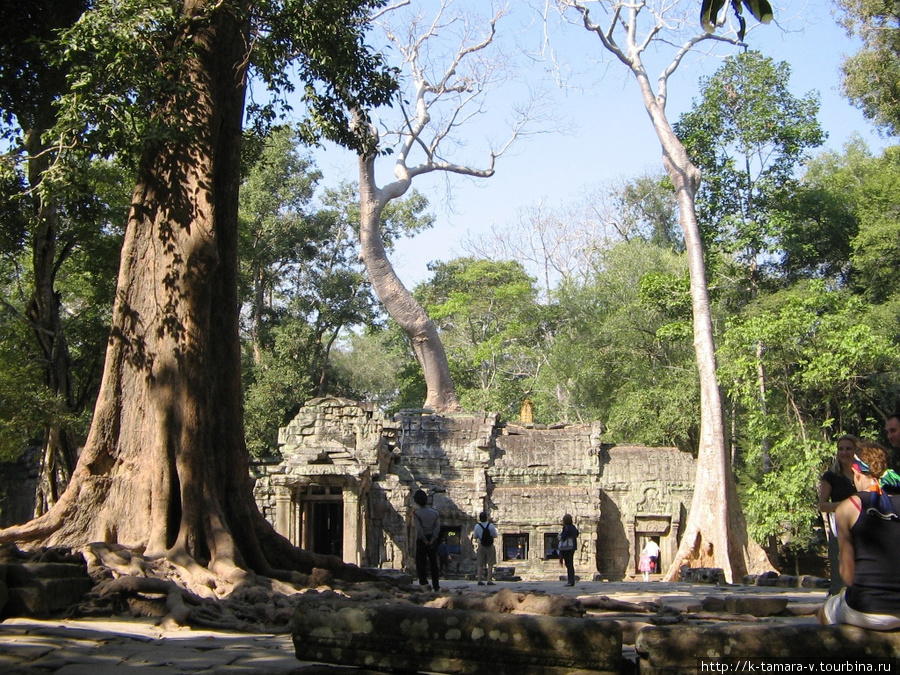 Камбоджа. Ангкор Ват-Ангкор Том- Та Пром Ангкор (столица государства кхмеров), Камбоджа