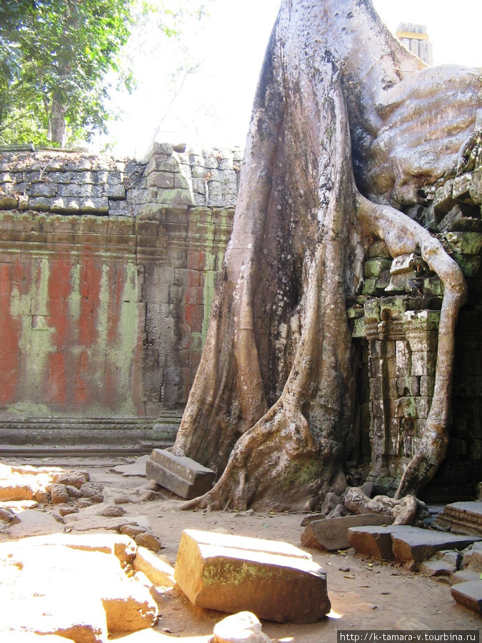 Камбоджа. Ангкор Ват-Ангкор Том- Та Пром Ангкор (столица государства кхмеров), Камбоджа