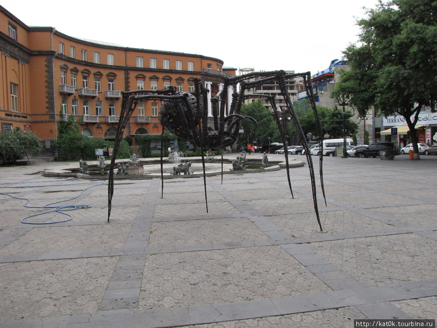 Гигантсткий паук Ереван, Армения