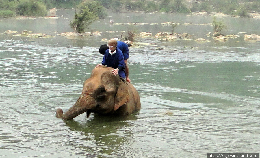 С каждым нырком слонов по соседству мое беспокойство все больше нарастало Луанг-Прабанг, Лаос