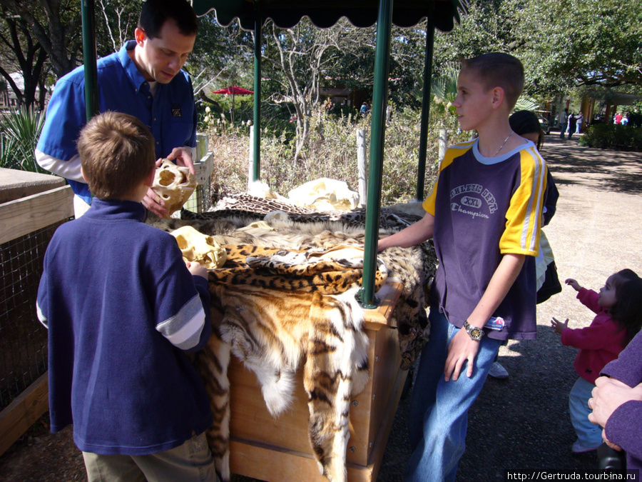 Служащий зоопарка рассказывает детям, как выделывают шкурки погибщих животных и делают сувениры. Хьюстон, CША