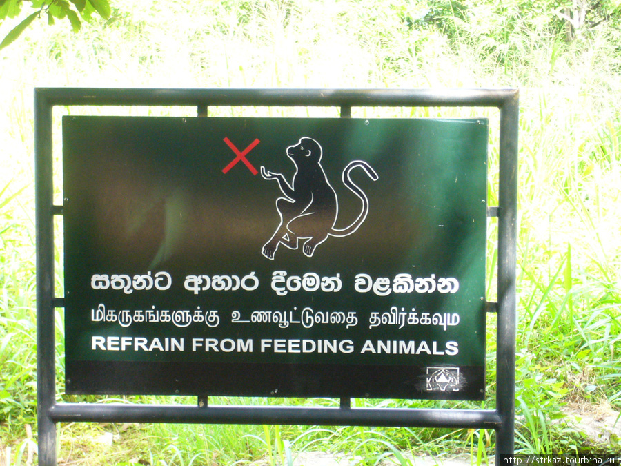 Шри-Ланка Шри-Ланка
