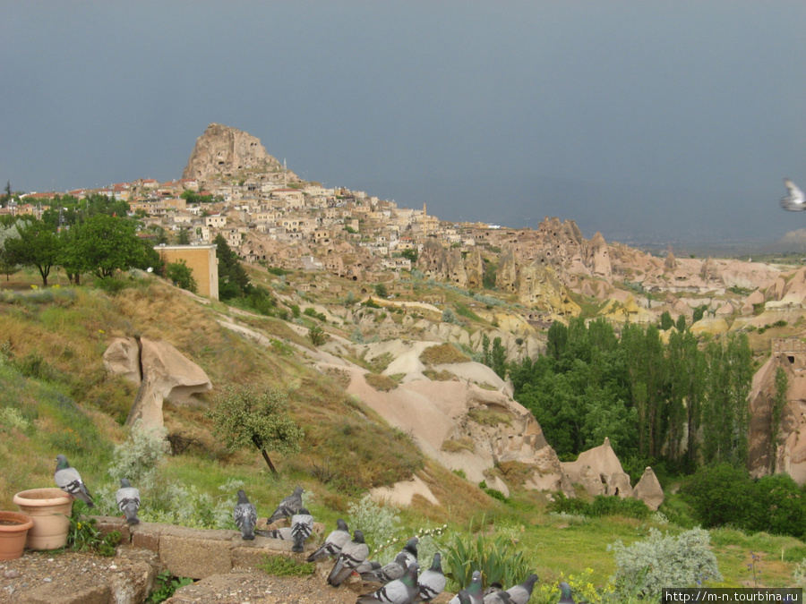 А сизые голубочки такие же, как и у нас... Каппадокия - Гереме Национальный Парк, Турция