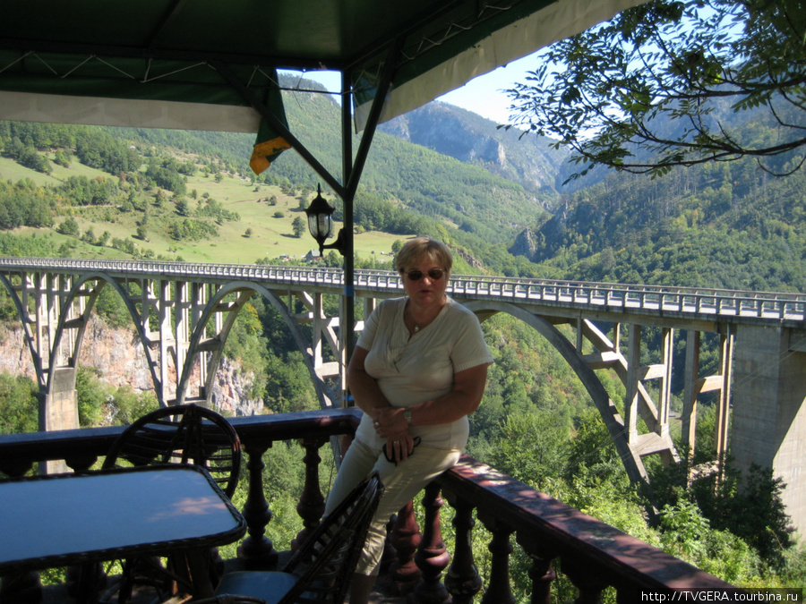 Около моста над каньоном ходят козы и лезут прямо к машинам и заходят в это кафе Черногория