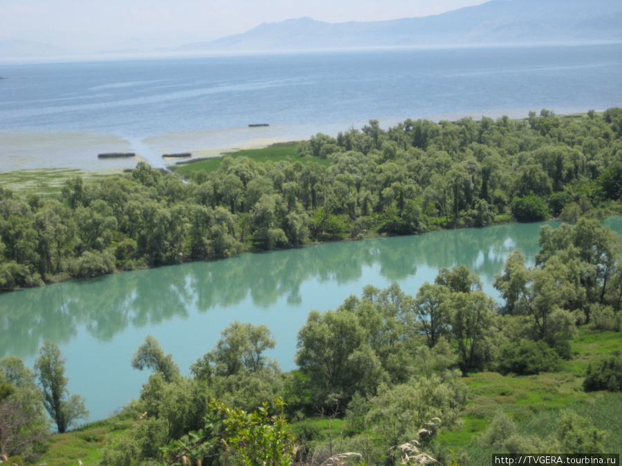 Вид на Скадарское озеро Черногория