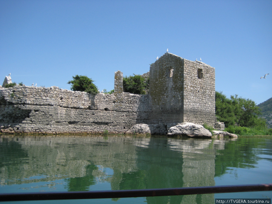 Остатки средневековой тюрьмы на островке в центре Скадарского озера. 14 век Черногория