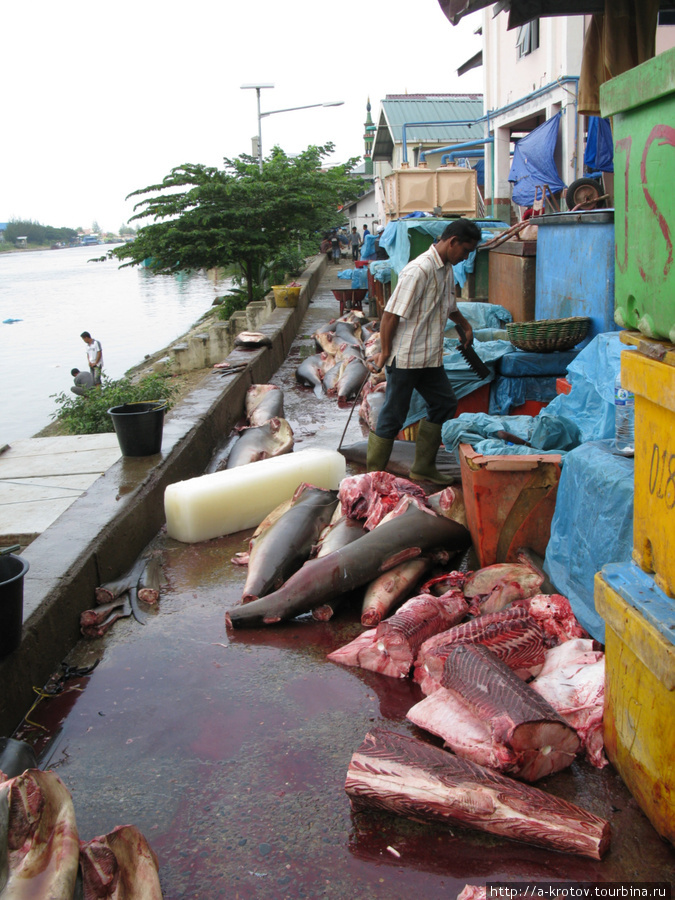 Улов рыбаков — очень большие рыбы, Банда-Ачех, Индонезия