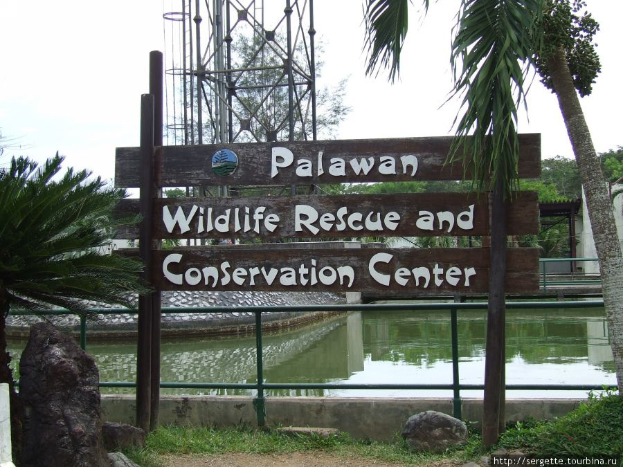На територии парка Пуэрто-Принсеса, остров Палаван, Филиппины