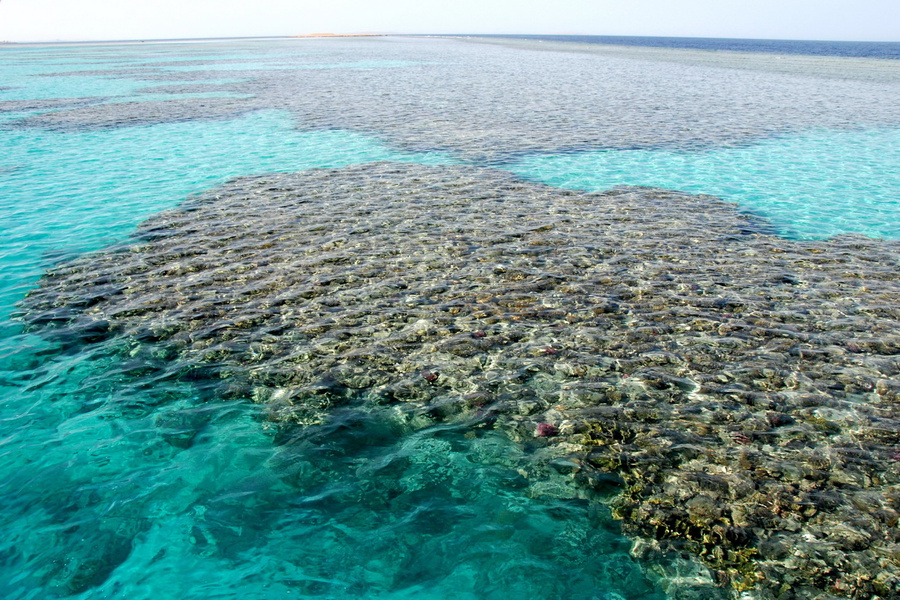 Три коралловых острова, не считая Райского Хургада, Египет