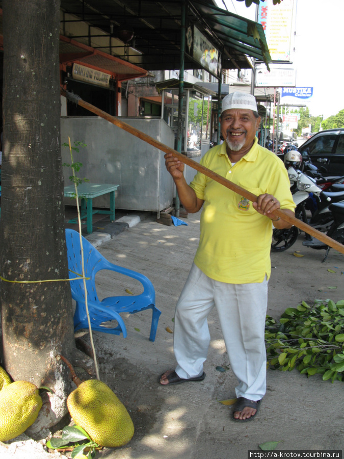 Мужчина очень доволен — с помощью длиннной палки с ножом на конце он достал несколько больших джек-фрутов с городского дерева Банда-Ачех, Индонезия