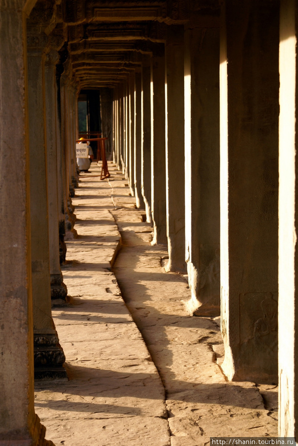 У стены Ангкор Вата Ангкор (столица государства кхмеров), Камбоджа