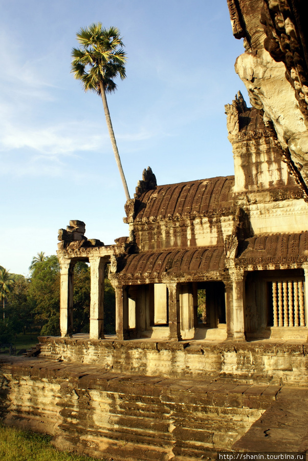 Угол Ангкор Вата Ангкор (столица государства кхмеров), Камбоджа