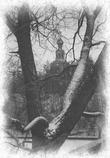 Вид с Серебренного бора, 90-годы