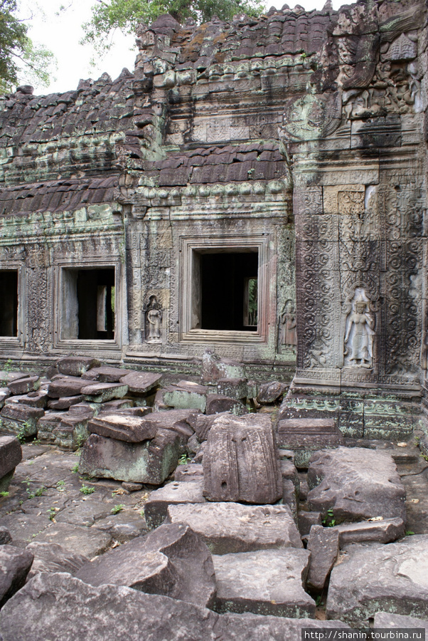Храм Та-Пром Ангкор (столица государства кхмеров), Камбоджа
