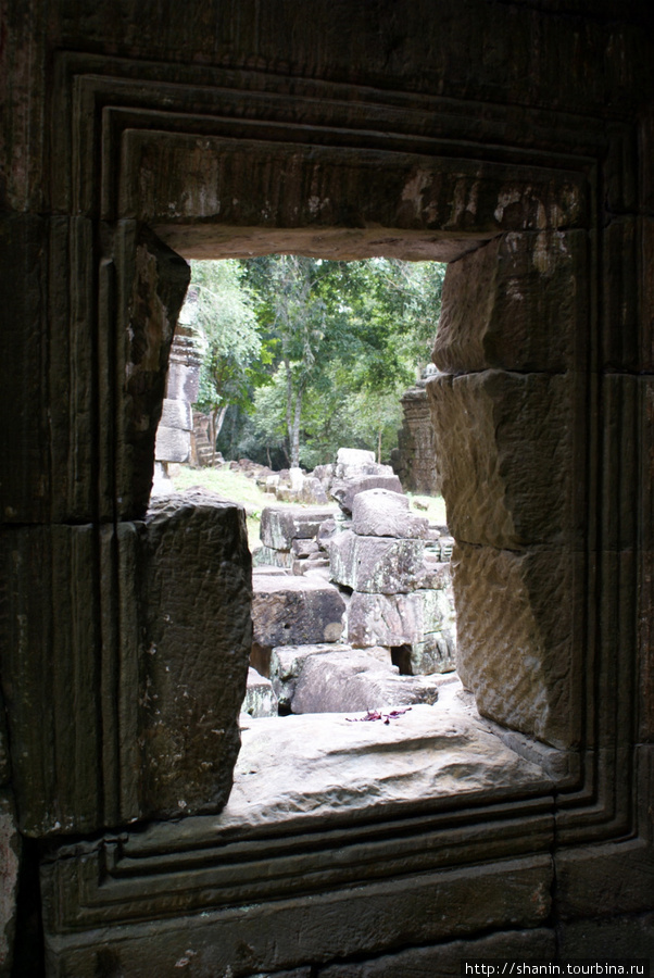 Мистический храм Та-Пром Ангкор (столица государства кхмеров), Камбоджа