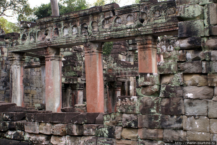 Мистический храм Та-Пром Ангкор (столица государства кхмеров), Камбоджа