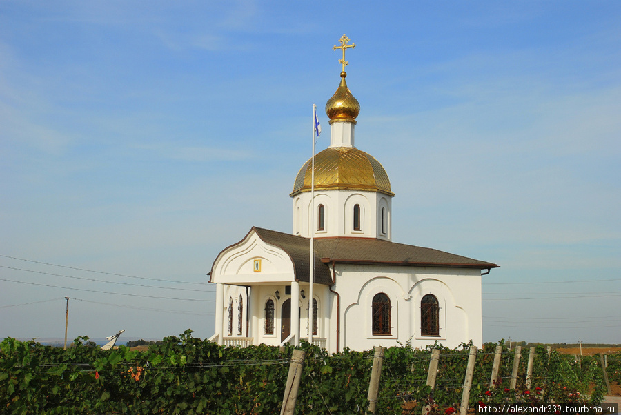 Винный тур. О вине и не только Краснодарский край, Россия