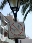 Кормить голубей запрещается.
