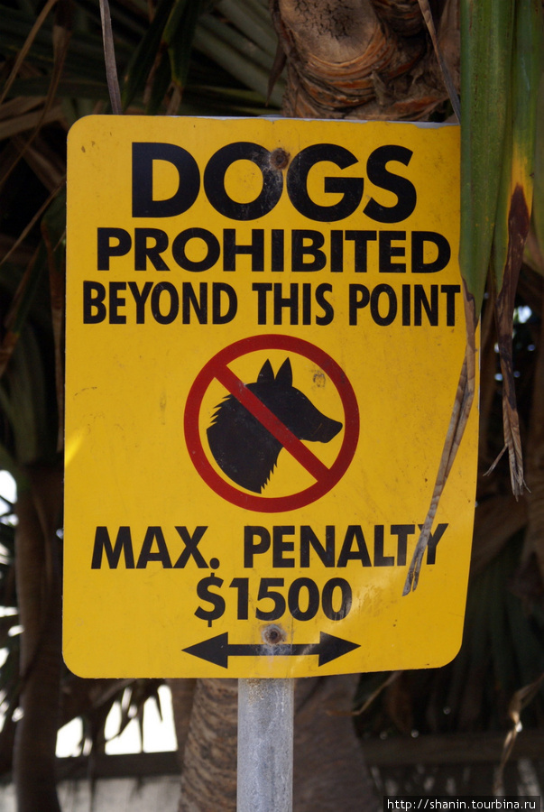 С собаками вход запрещен! Серферс-Парадайз, Австралия