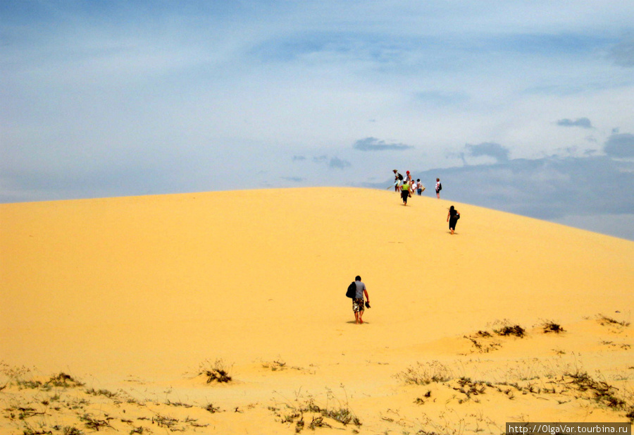 В безбрежном море песка Фантхиет, Вьетнам