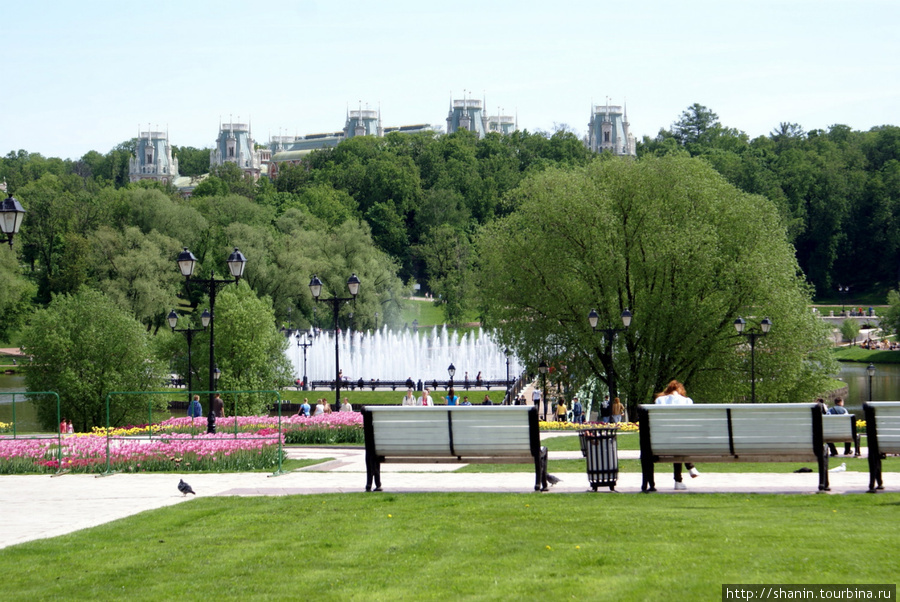 Парк и усадьба в Царицыно Москва, Россия