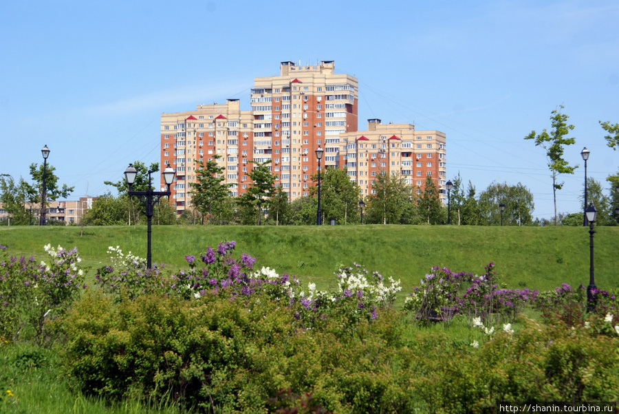 Парк и усадьба в Царицыно Москва, Россия