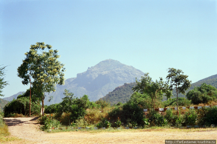 Экзотический Гуджарат Штат Гуджарат, Индия