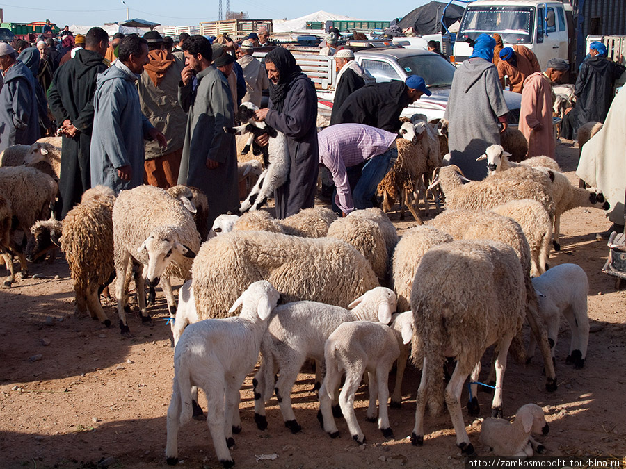 Рынок в Таруданте Тарудан, Марокко