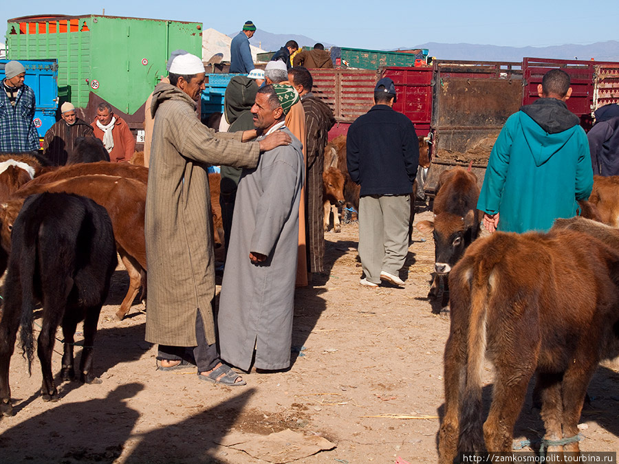 Рынок в Таруданте Тарудан, Марокко