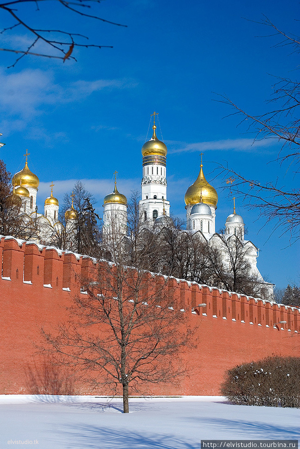 Благовещенский Собор, Колокольня Ивана Великого и Архангельский Собор. Москва, Россия