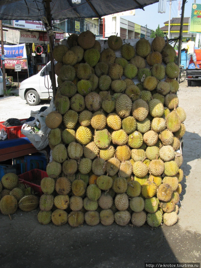 Это фрукты дурианы, а вовсе не памятники Медан, Индонезия