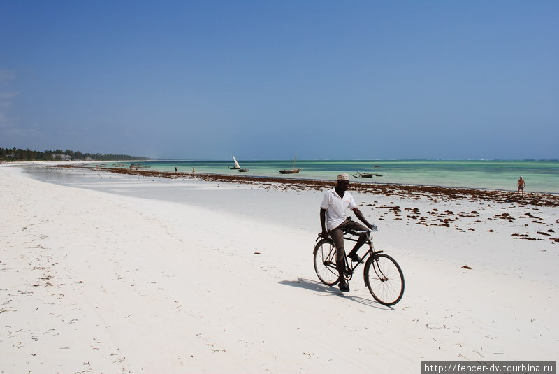 Белый песок занзибарских пляжей Остров Занзибар, Танзания