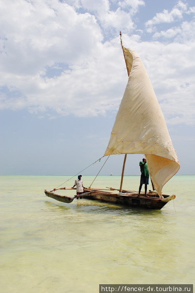 Занзибар. Избранное Остров Занзибар, Танзания