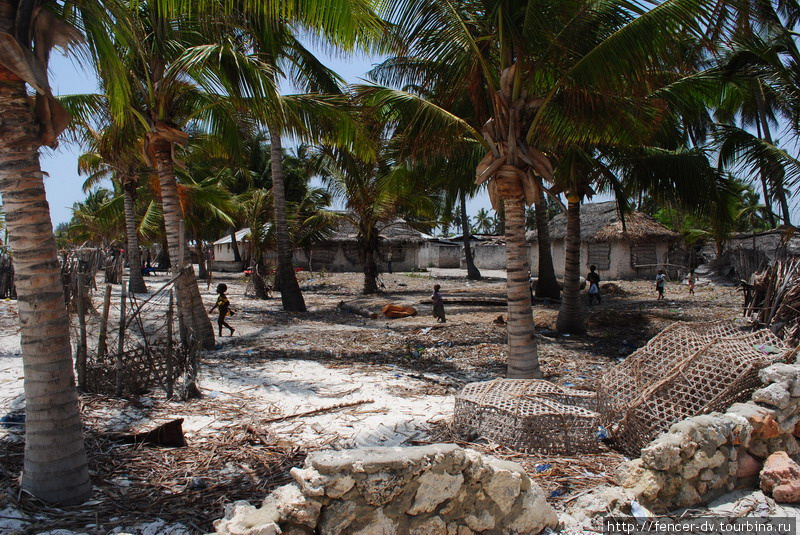 Пвани Мчангани - деревня занзибарских рыбаков Танзания