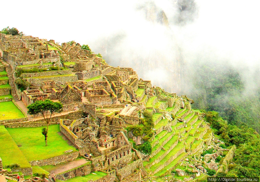 Старая гора Мачу-Пикчу, Перу