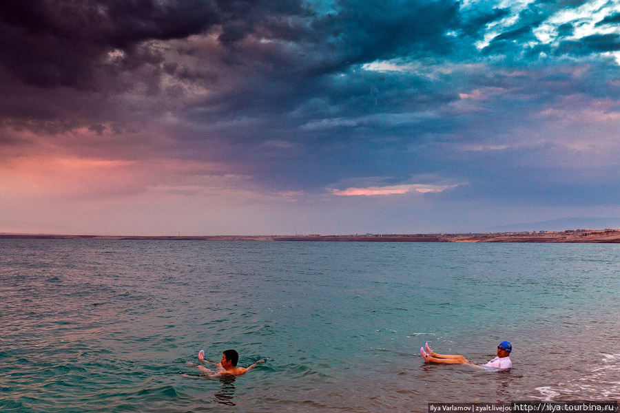 Мёртвое море Провинция Мадаба, Иордания