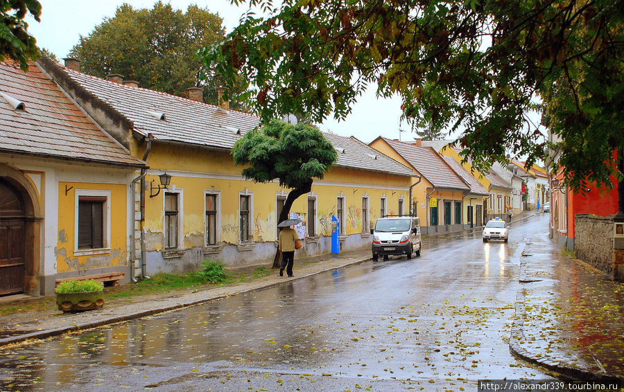 Евросезон 2009. Венгрия Венгрия