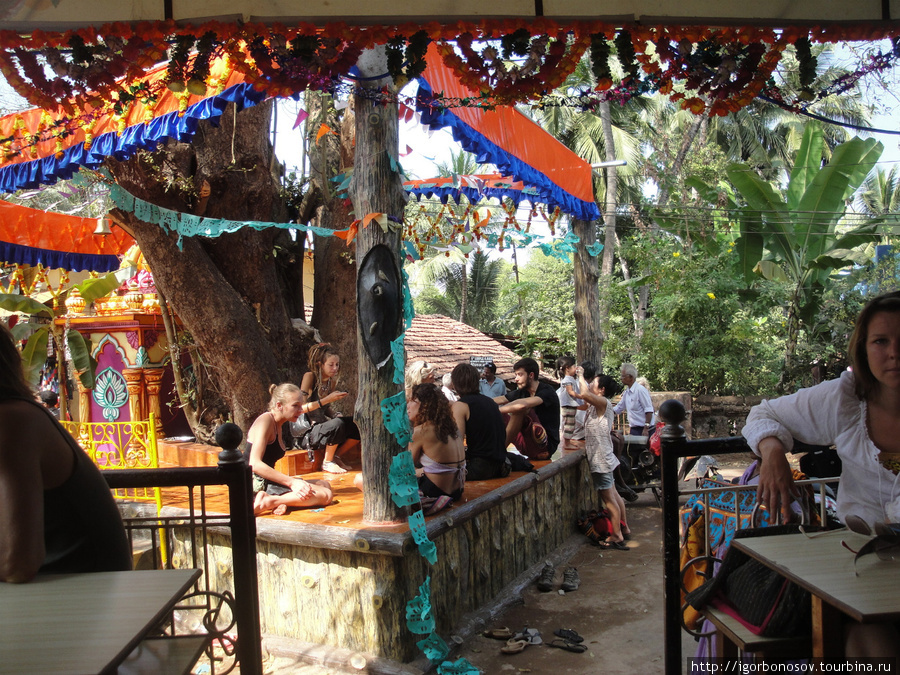 А это джус-центр в Чапоре. Место сбора псевдо-хиппи. Под священным деревом баньян, говорят, можно траву курить и полиция не трогает. Она там, впрочем, нигде никого не трогает. Анжуна, Индия